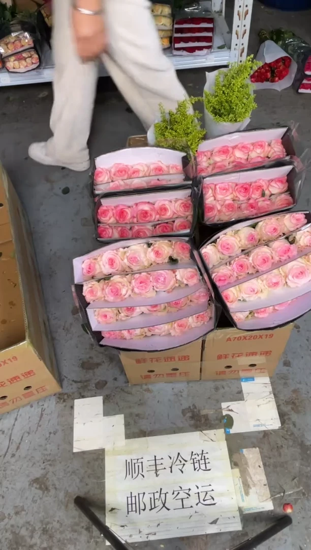 艾沙20枝+洛神20枝+黄莺