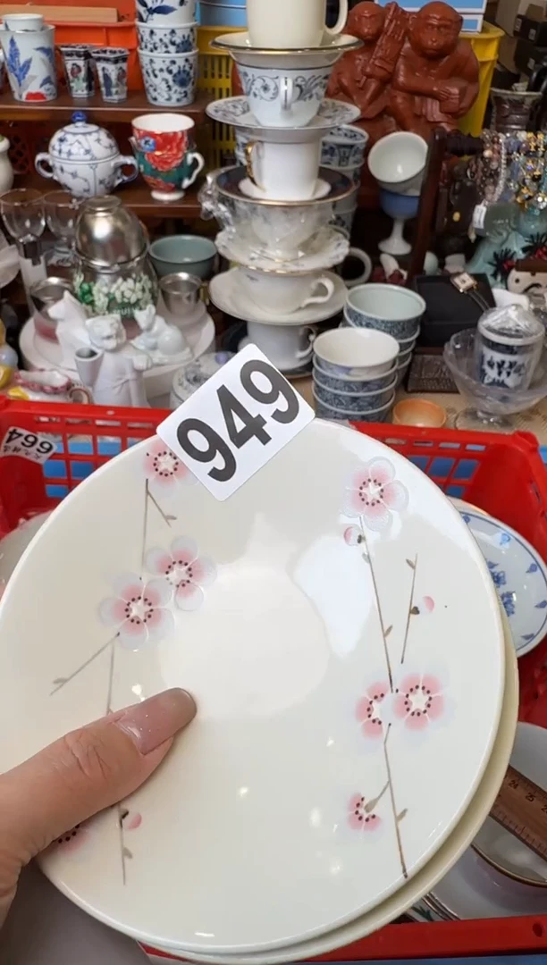 瓷片小**?小飞龙小飞龙