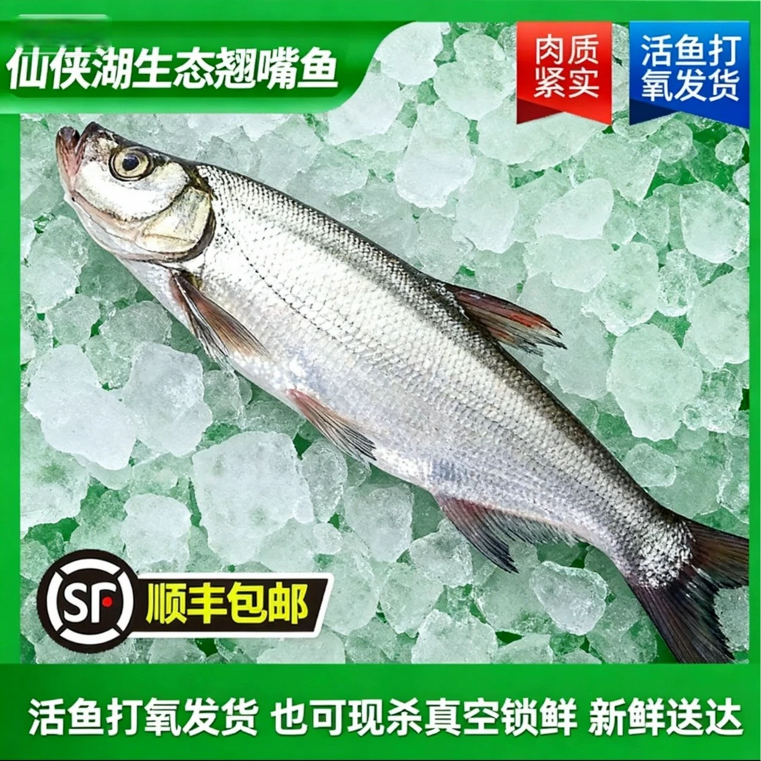 仙侠湖有机翘嘴鱼饮用水源地新鲜捕捞活鱼/肉质鲜美/顺丰发货