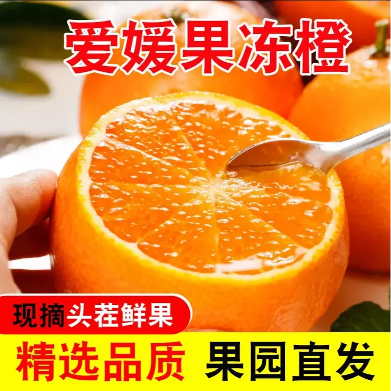 爱媛果冻橙新鲜采摘橙子爱媛38号四川核心产区5斤9斤