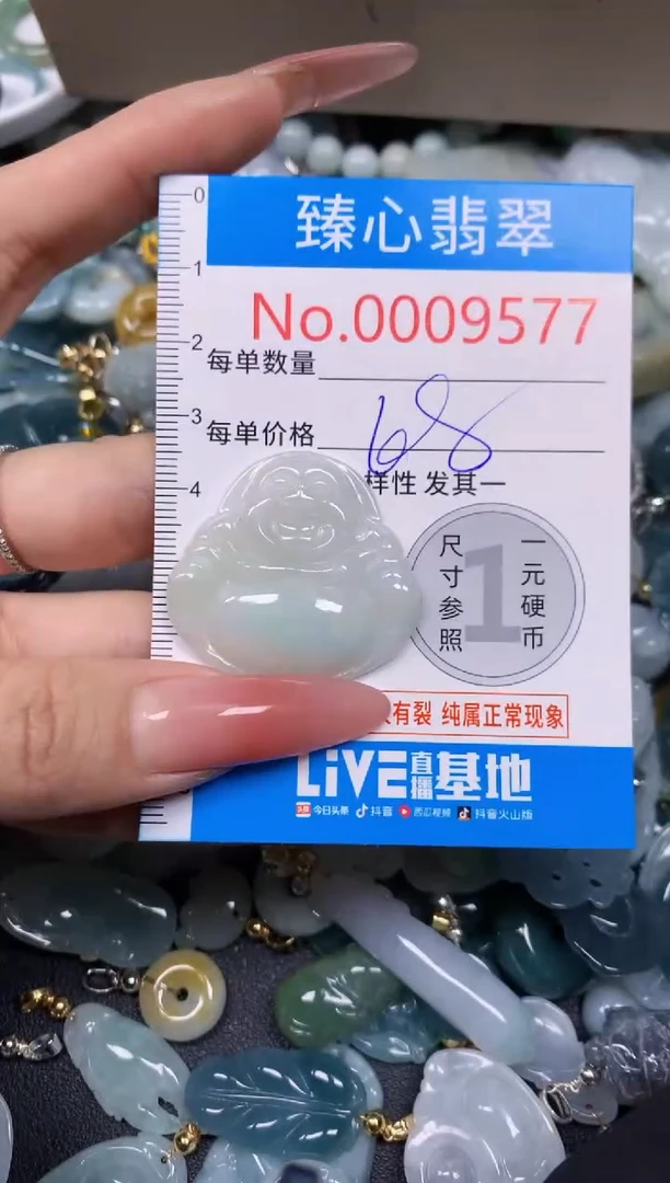 【闪购商品】翡翠颈饰未镶嵌含绳0009577