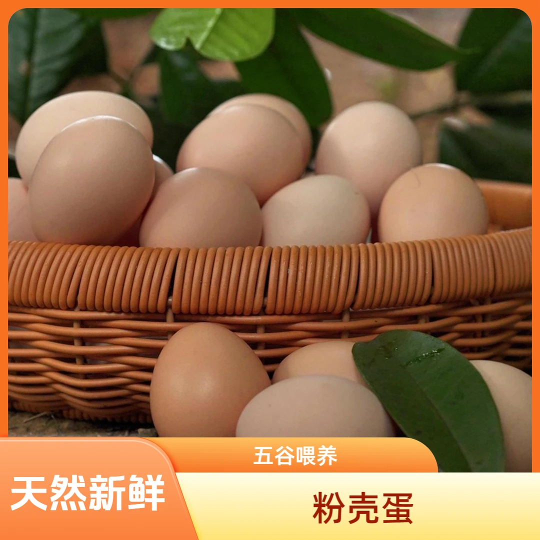 农户农场五谷喂养土鸡蛋散养土鸡蛋笨鸡蛋—新鲜散养土鸡蛋