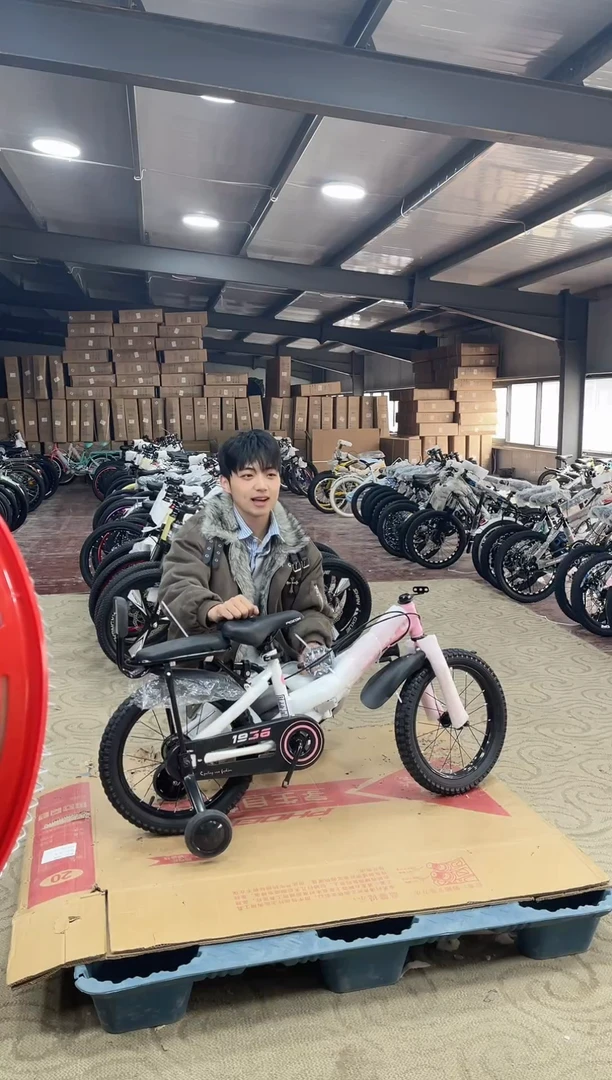 16寸-单速-粉-座【默认微瑕，不退不换，介意勿拍】