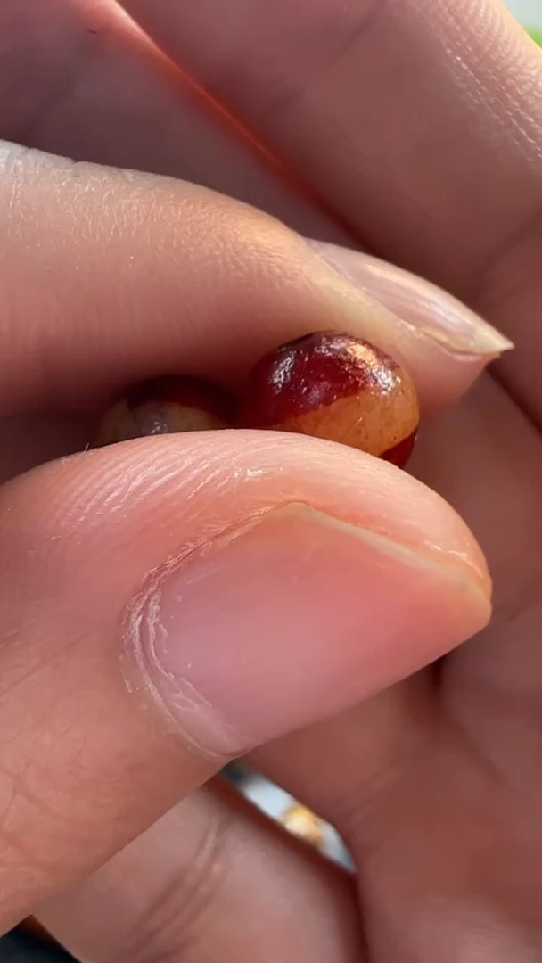 玛瑙/玉髓（覆膜）颈饰未镶嵌54.（微瑕随机发货）