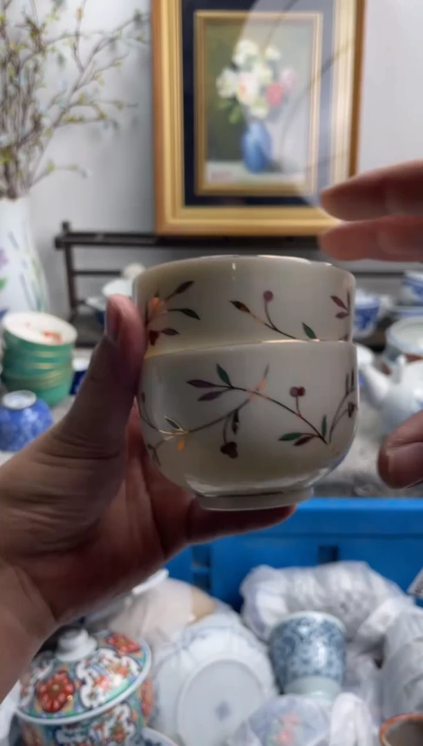 瓷片湘**师556-D-