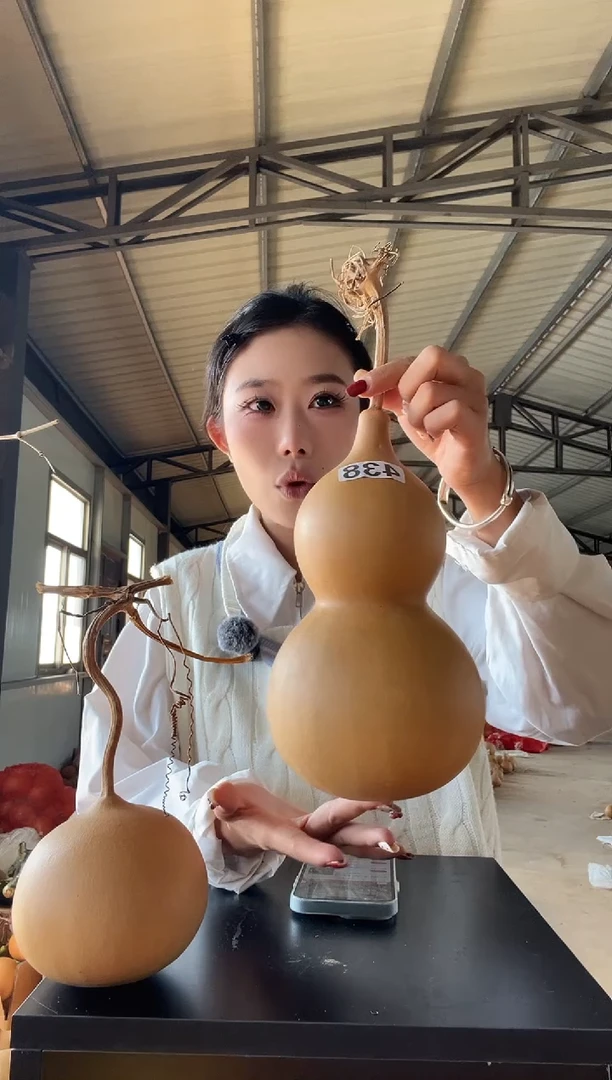 438天然葫芦摆件 一物一拍龙头不保售后