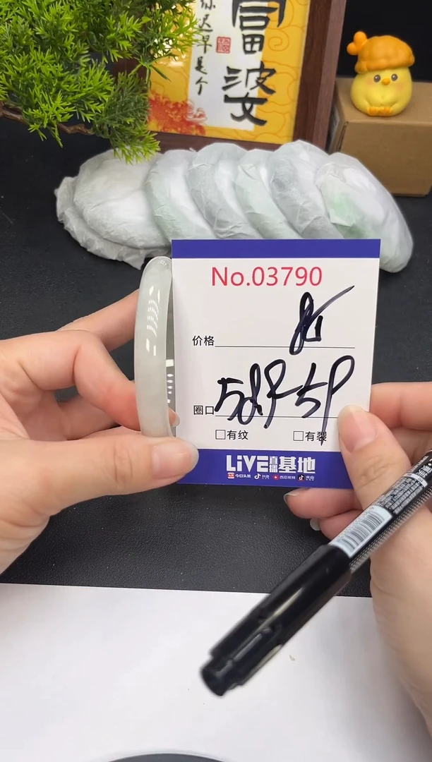 未镶嵌手镯翡翠3790