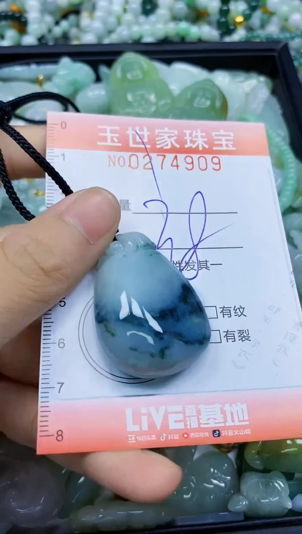 翡翠未镶嵌颈饰闪购0274909
