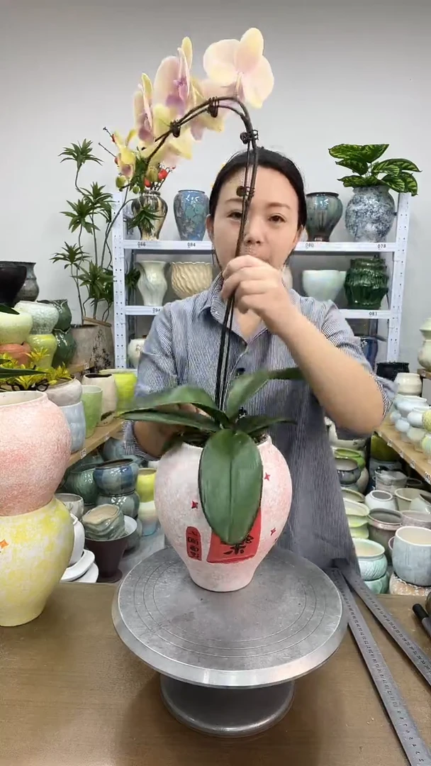 11.24陶瓷花盆直播链接高.    20  口12