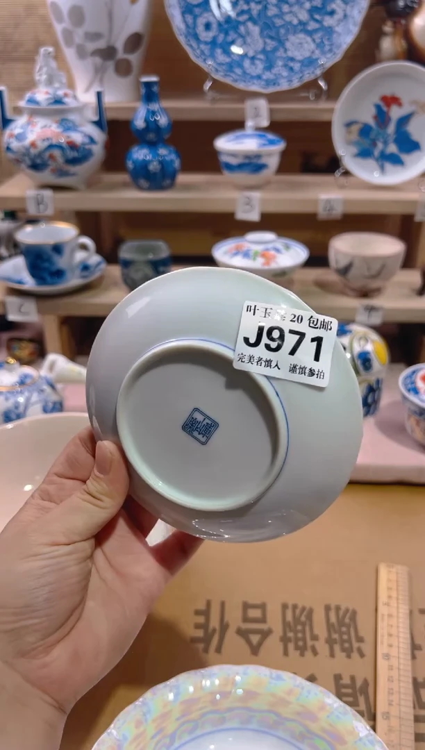 瓷片           J971