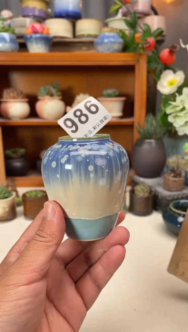 瓷片986知木小芳花盆直播编号