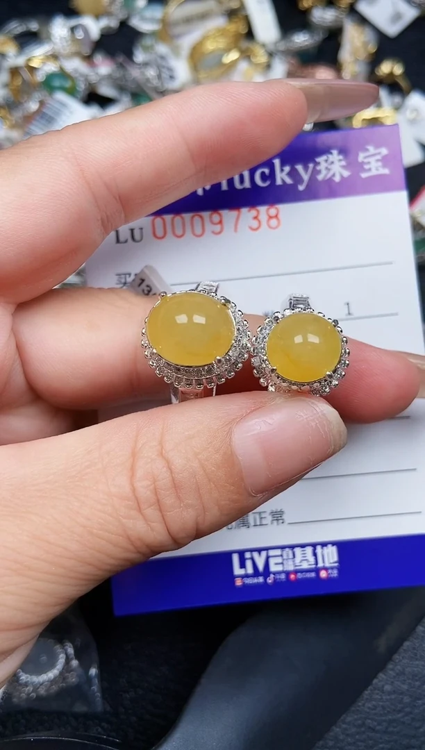 翡翠未镶嵌颈饰9738铜托
