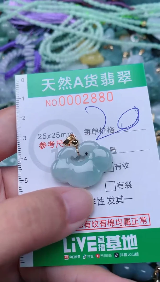 翡翠未镶嵌颈饰.0002880