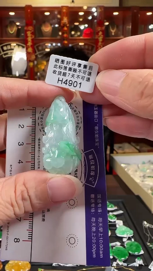 颈饰未镶嵌翡翠H4901发菜