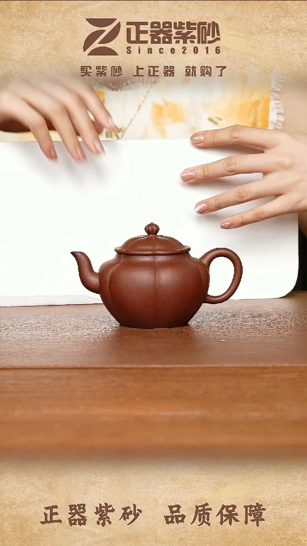 茶壶紫砂陈楠寒梅（师承袁小强）底槽清240cc