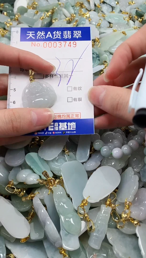 颈饰未镶嵌翡翠纯天然a货翡翠