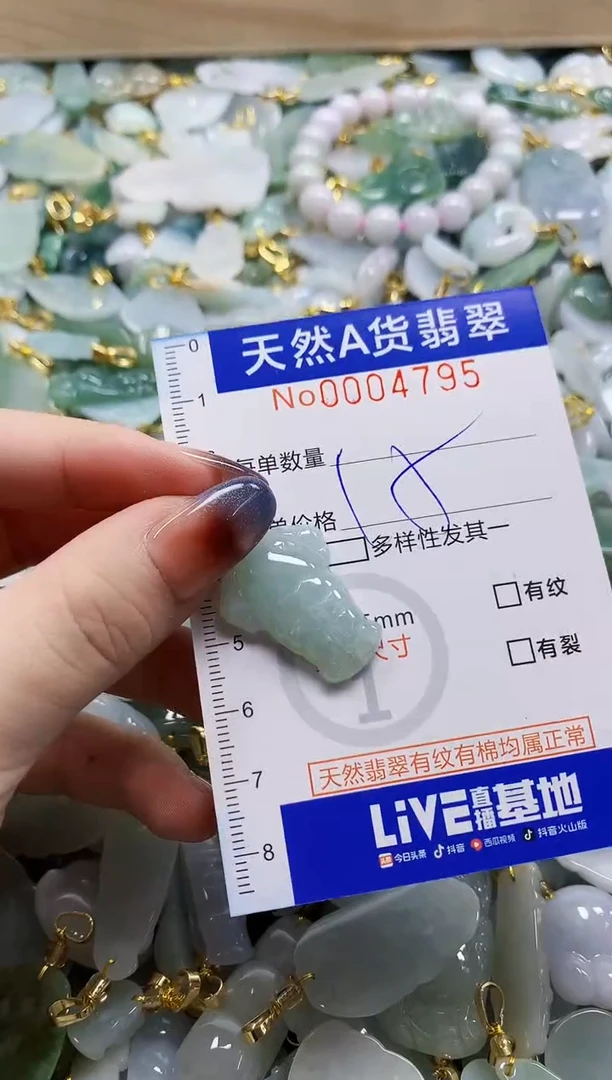 颈饰未镶嵌翡翠天然A货翡翠