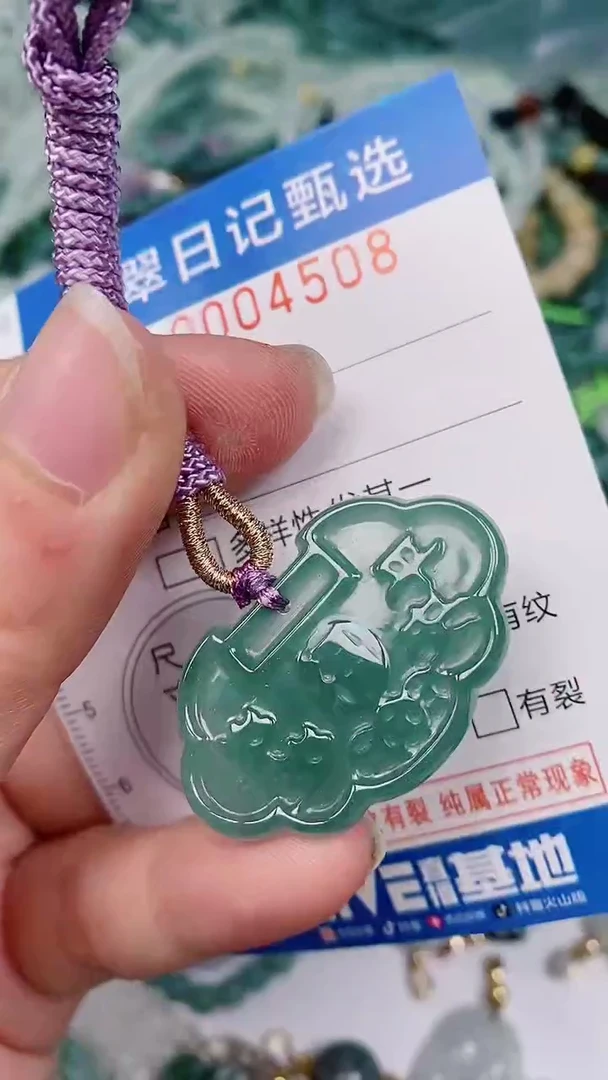 【闪购商品】翡翠颈饰未镶嵌00004508