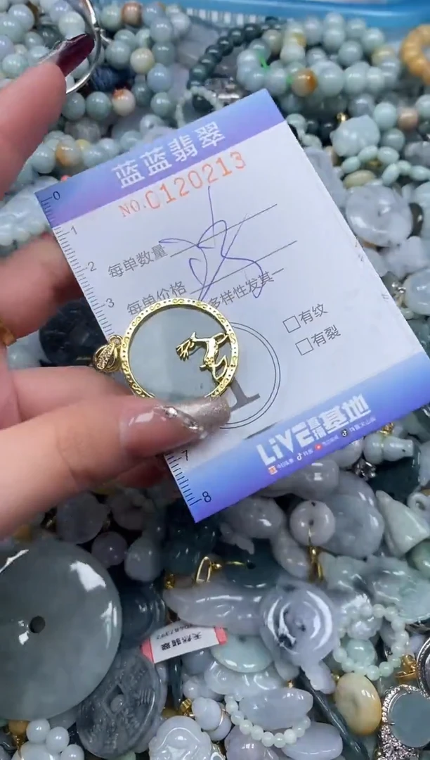 【闪购商品】翡翠颈饰未镶嵌闪购0120213多样性发其一