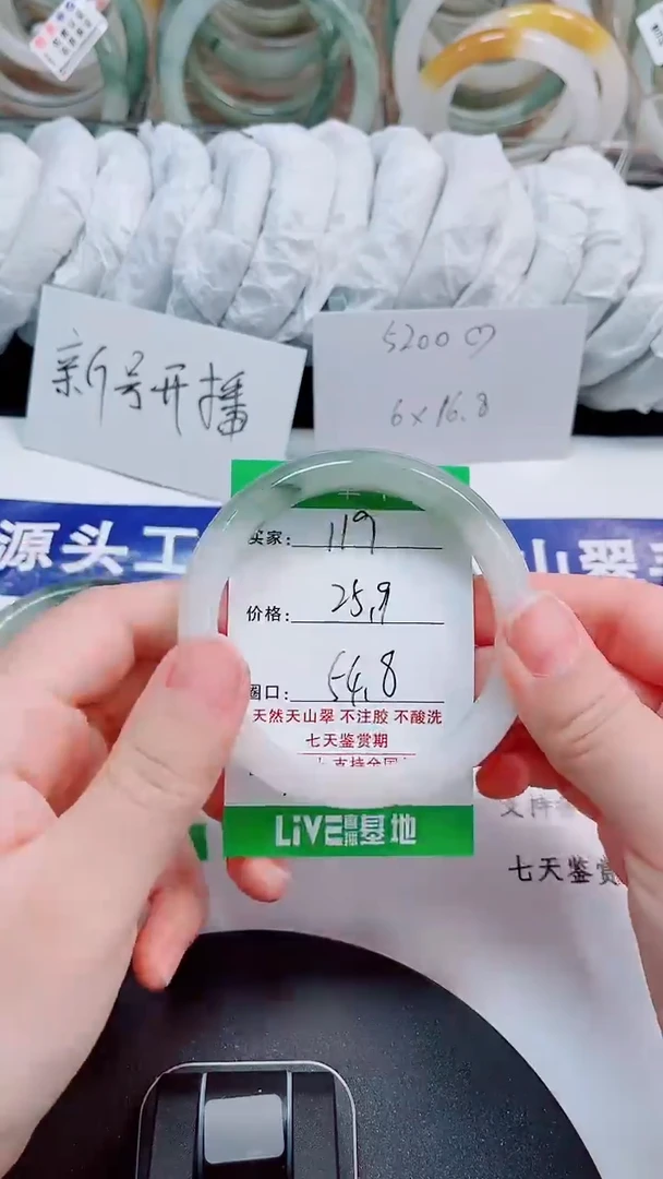 未镶嵌手镯石英质玉119-53/54