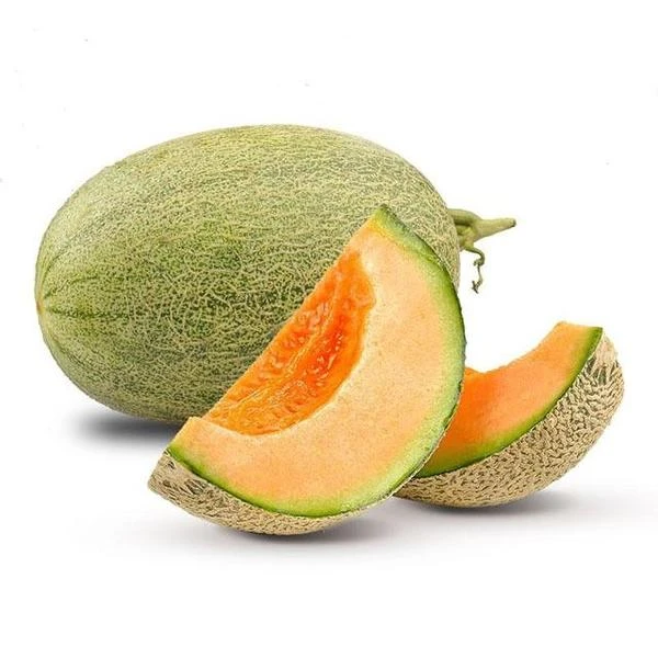 【明天到】新疆吐鲁番哈密瓜西州蜜25号顺丰包邮7-8斤新鲜新疆维吾尔自治区