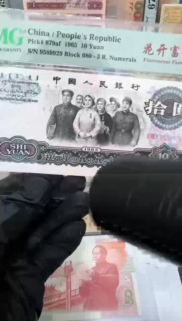 花开富贵  朦胧号