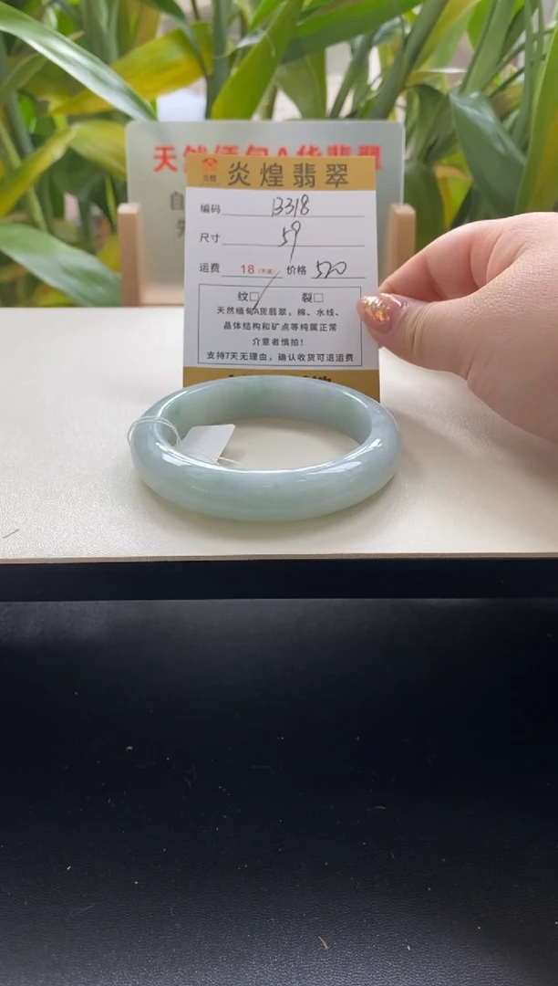 未镶嵌手镯翡翠59圈口编码b318