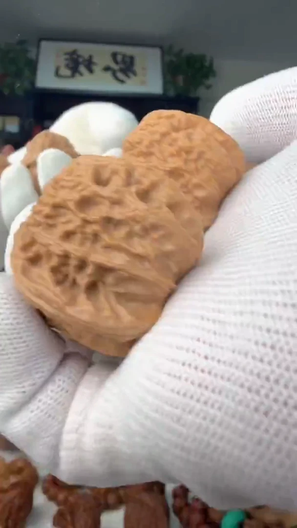 把件龙脊菩提007白狮子