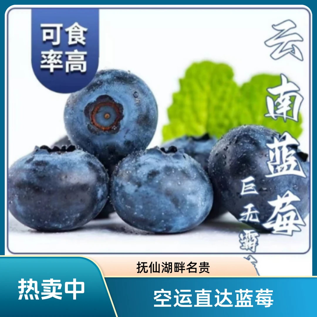 【买一箱送一箱】云南抚仙湖25花香蓝莓新鲜水果现摘 京东/顺丰空运