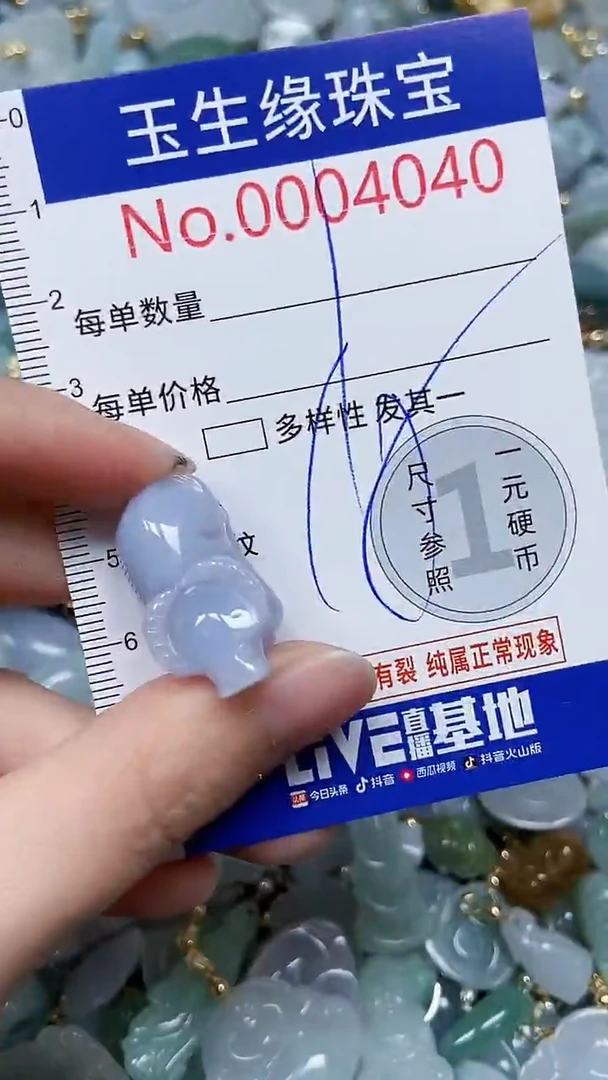 【闪购商品】翡翠颈饰未镶嵌闪购00004040