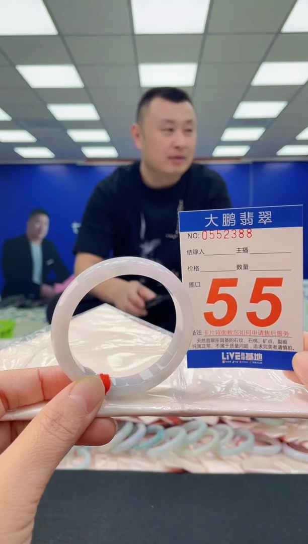 未镶嵌手镯翡翠AAAAAAAAAA