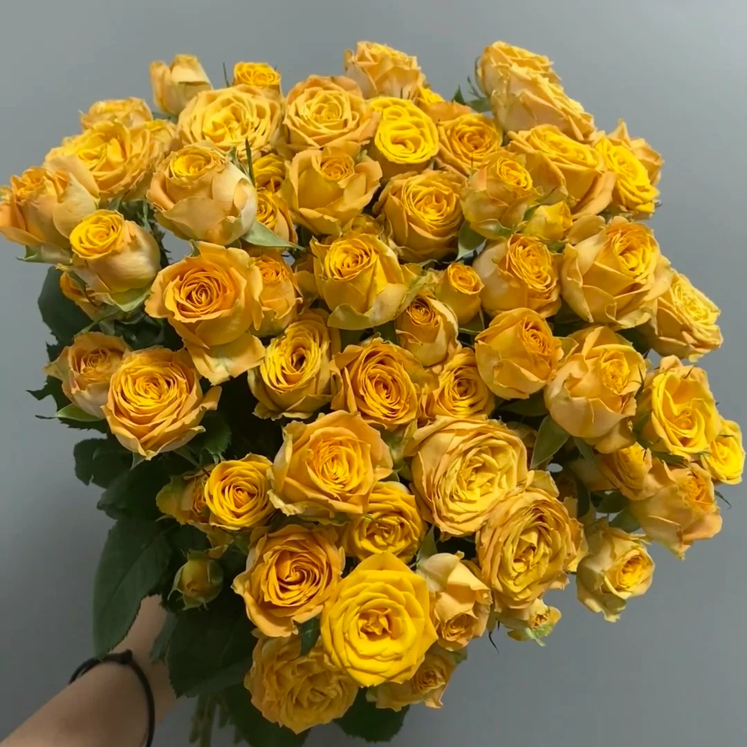 【金色麦浪多头玫瑰批发】厦门实体花店鲜花批发现货福建顺丰包邮