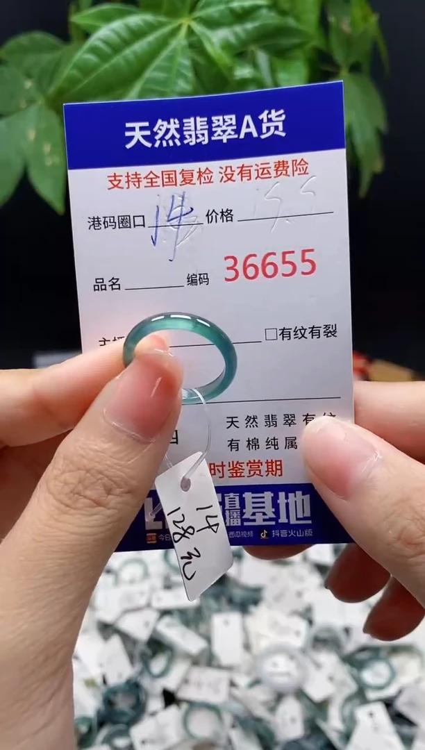翡翠戒指未镶嵌天然翡翠戒圈6655