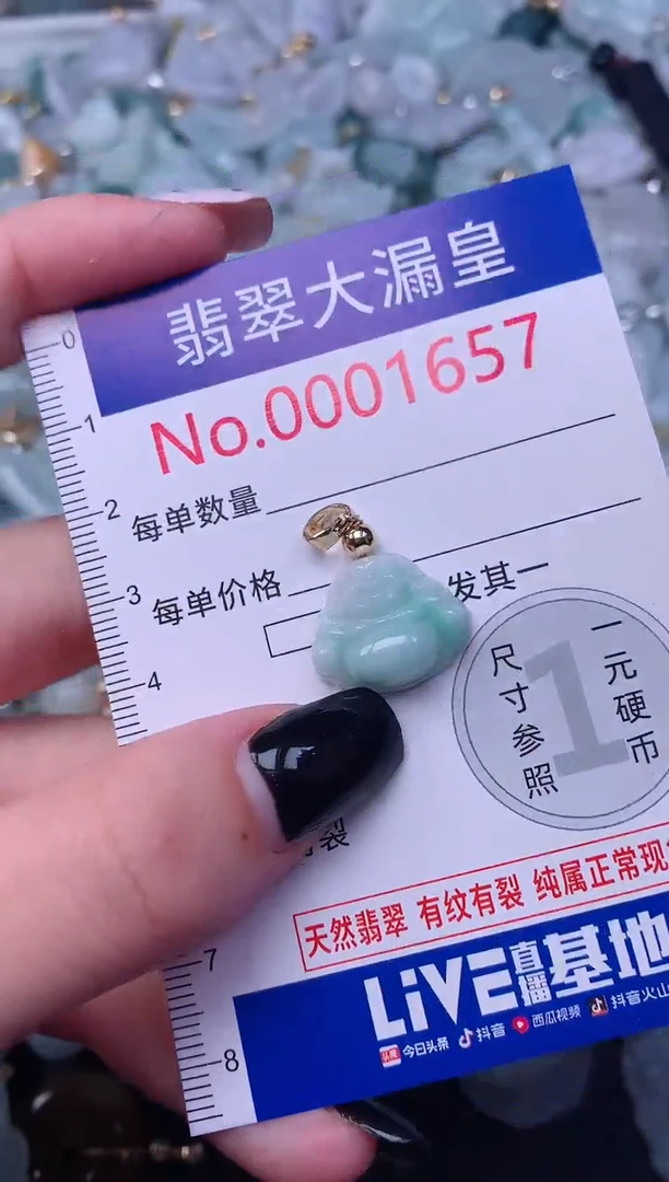 颈饰未镶嵌翡翠1657