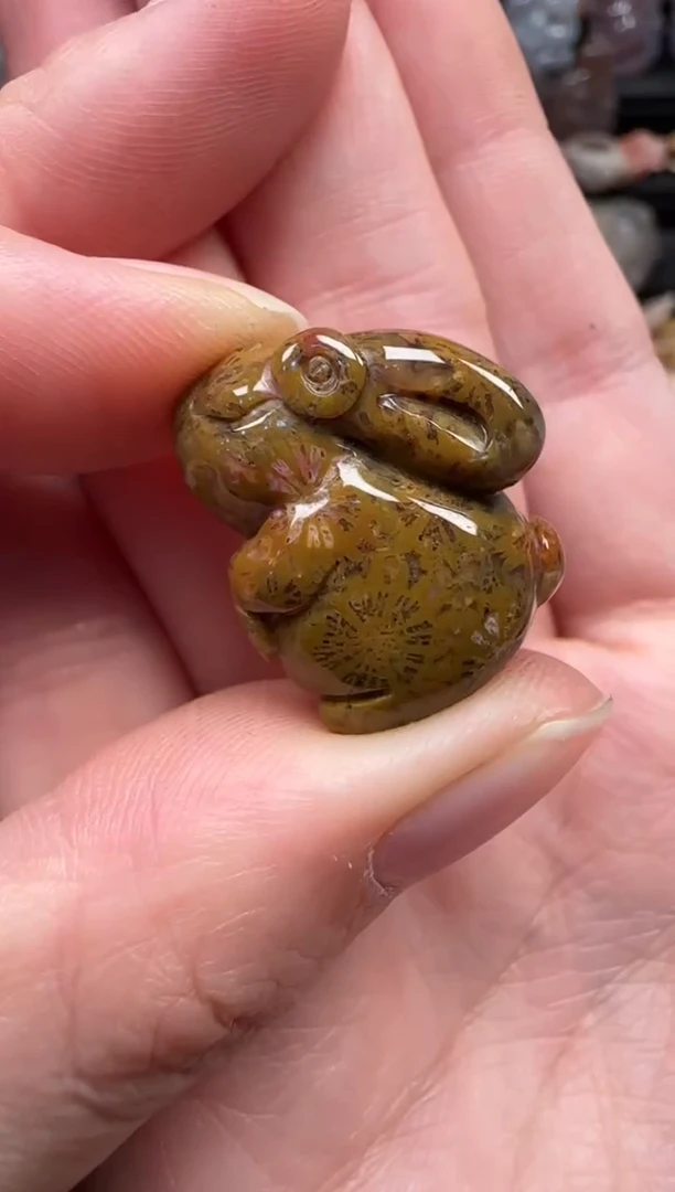 颈饰未镶嵌硅化珊瑚（珊瑚玉）197