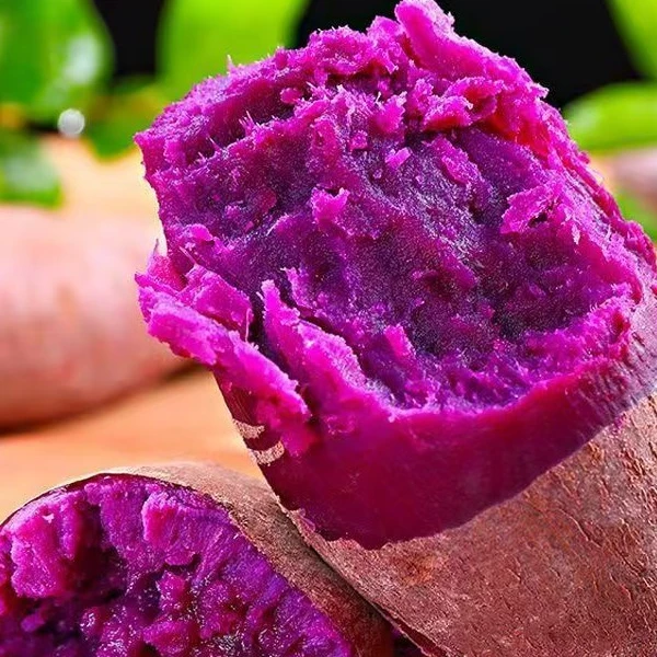 新鲜紫罗兰粉糯香甜粗粮代餐红薯番薯地瓜正宗新鲜紫薯沙地紫薯