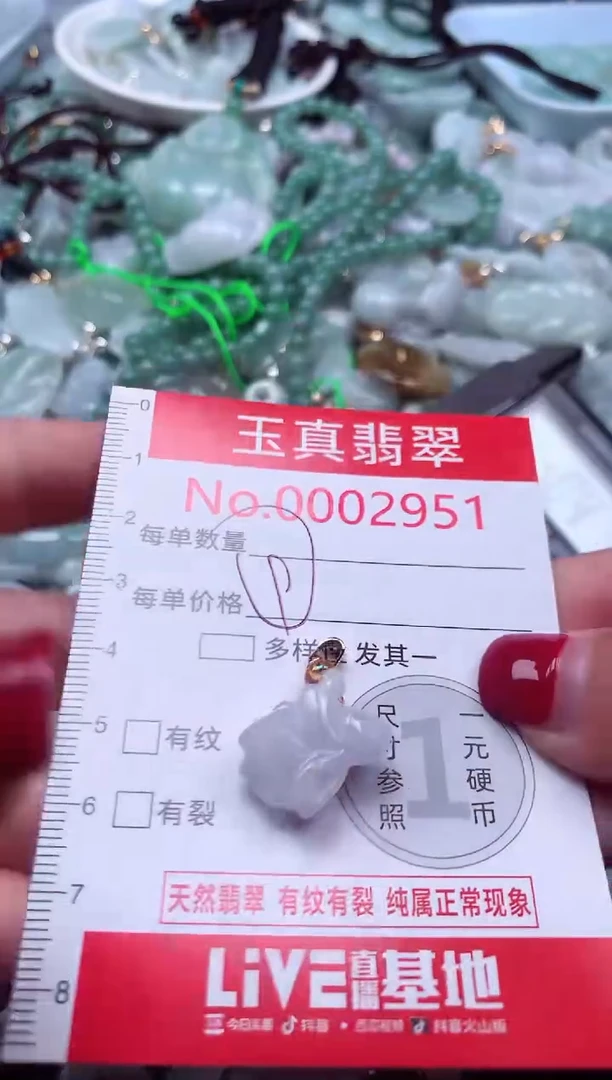 颈饰未镶嵌翡翠2951