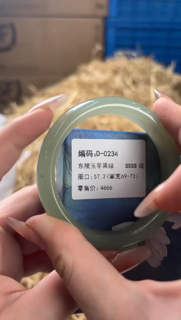 未镶嵌手镯石英质玉D-0234
