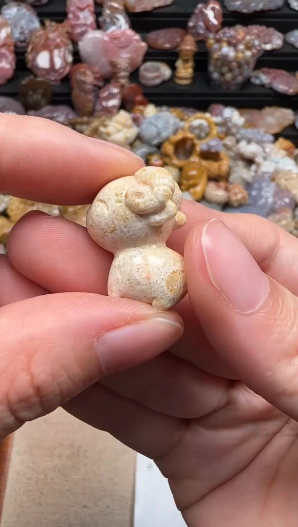 【闪购商品】硅化珊瑚（珊瑚玉）颈饰未镶嵌050