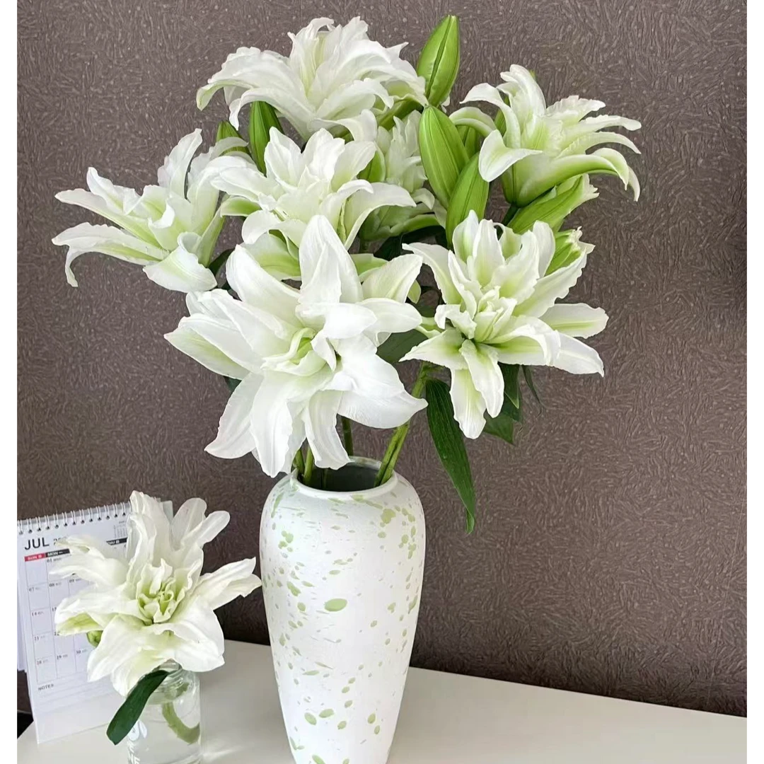 【狄马的花】重瓣百合艾莎