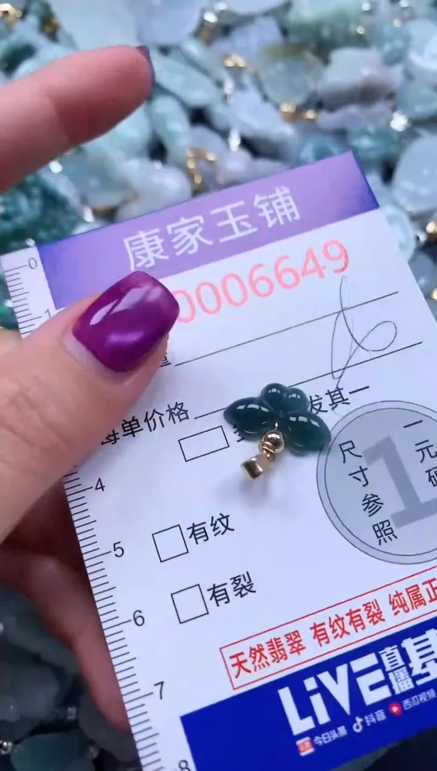 颈饰未镶嵌翡翠6649