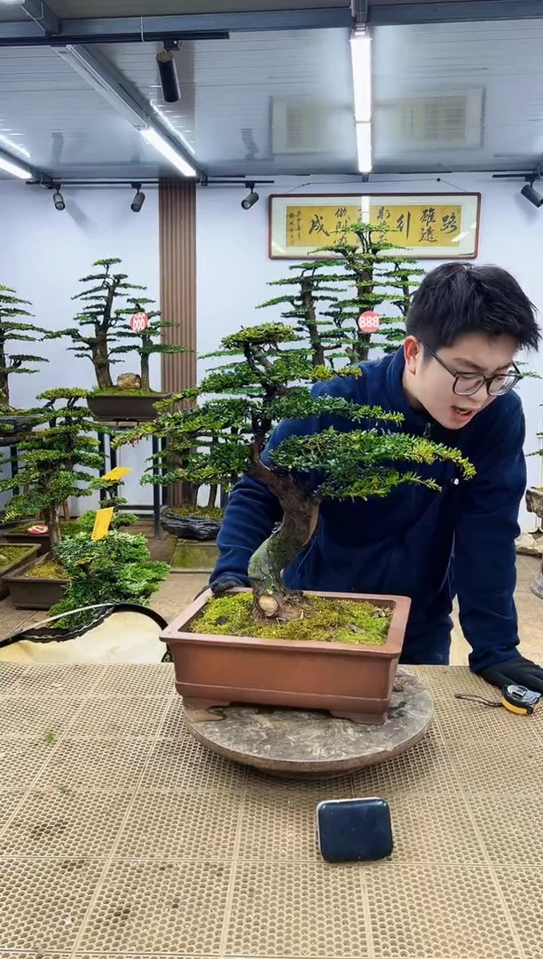 【闪购商品】0000000