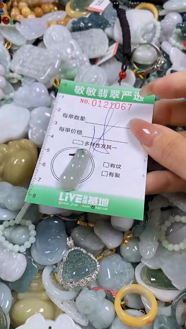 【闪购商品】翡翠颈饰未镶嵌闪购0121067