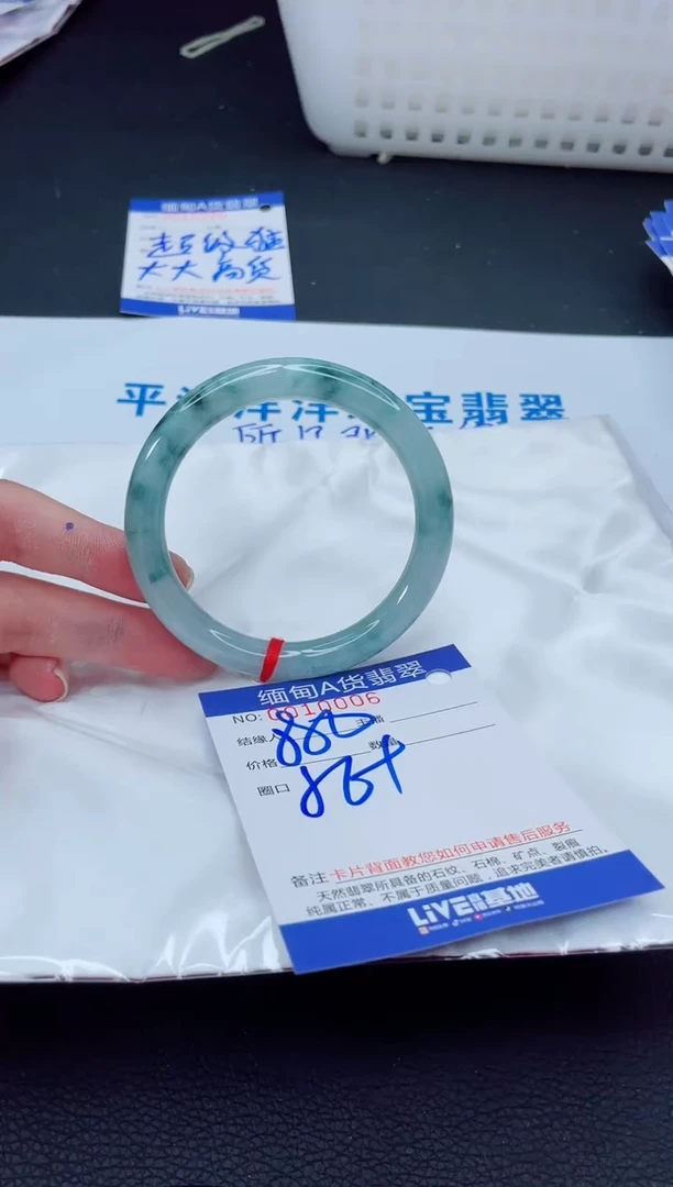未镶嵌手镯翡翠我3