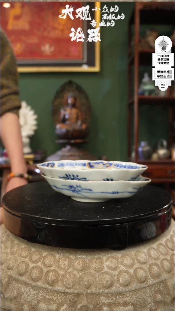 【闪购商品】瓷片大观论器两只