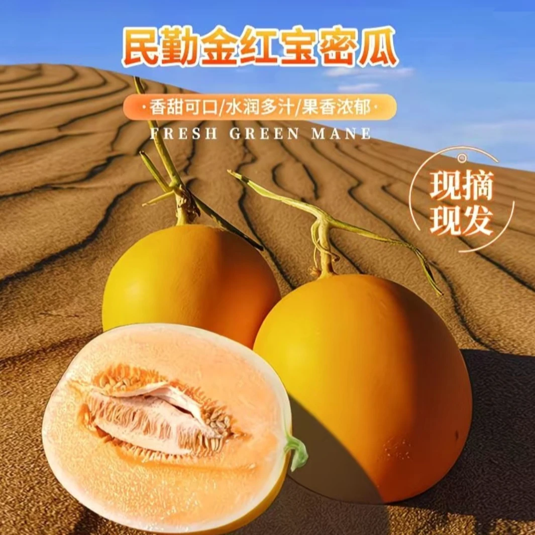 【顺丰送货上门】甄选正宗甘肃民勤蜜瓜坏果包赔不甜包赔产地直发