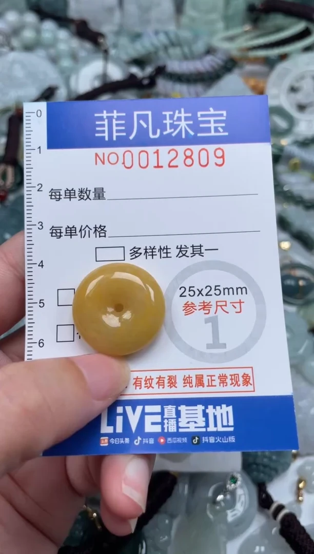 颈饰未镶嵌翡翠12809