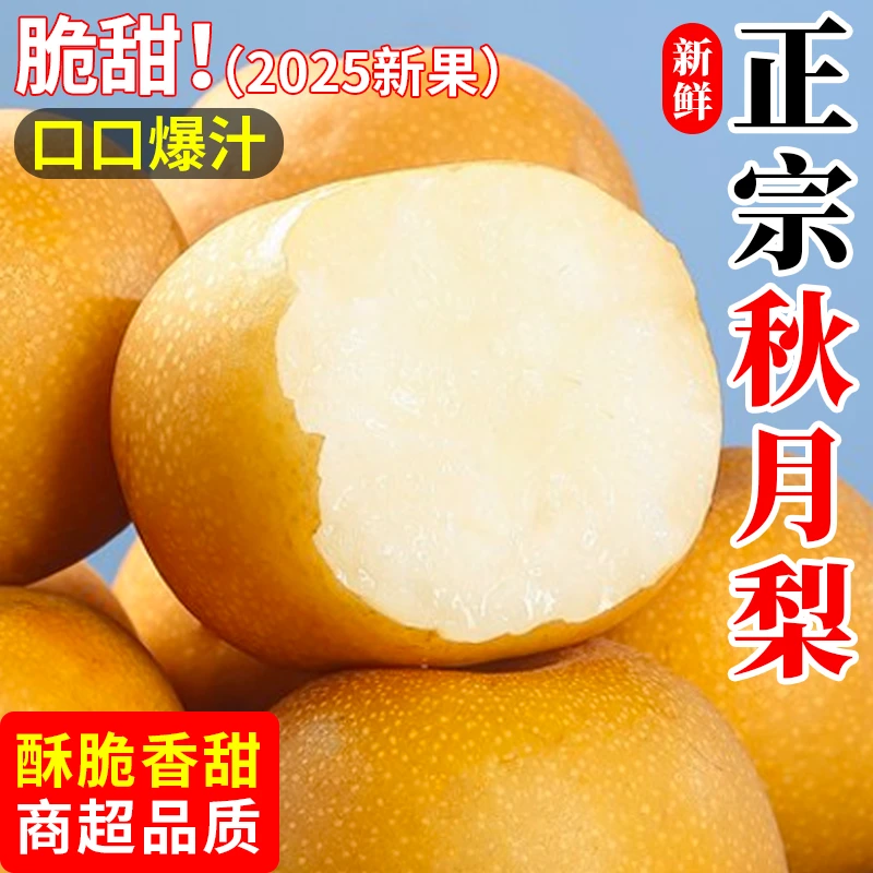 【山东秋月梨】当季新鲜水果脆甜多汁皮薄肉厚超甜实惠当季