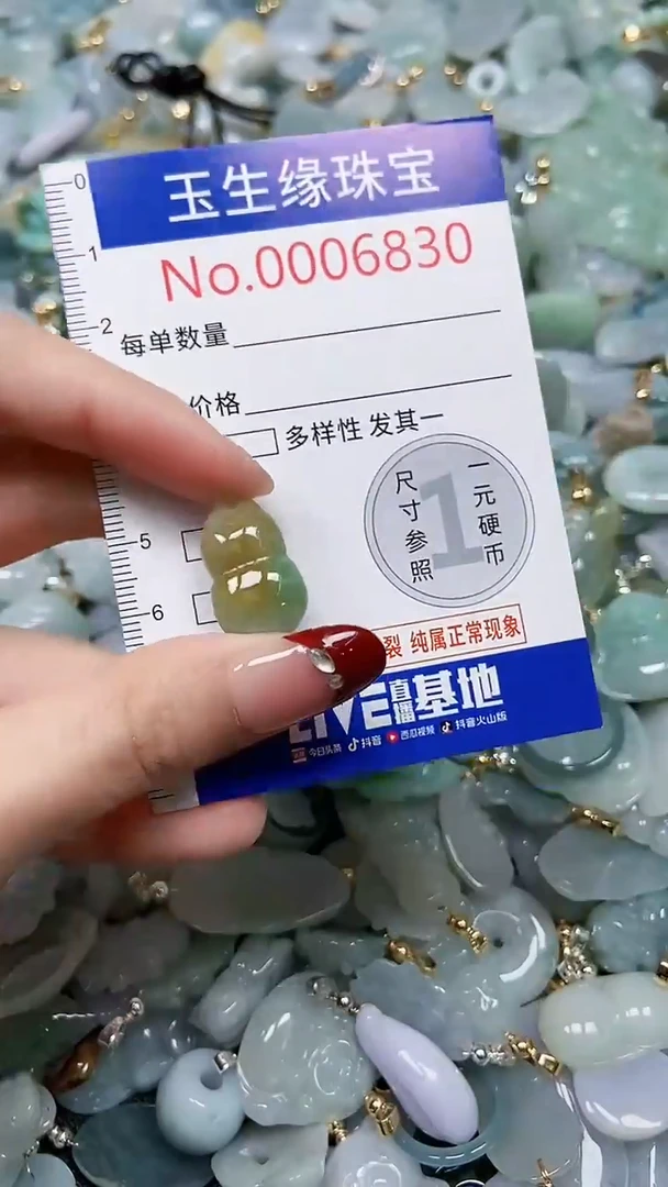 【闪购商品】翡翠颈饰未镶嵌闪购00006830