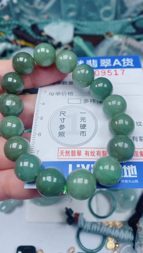 颈饰未镶嵌翡翠00009517